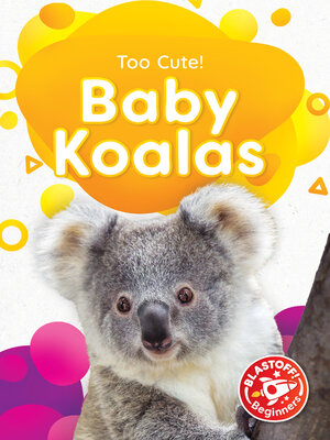 cover image of Baby Koalas